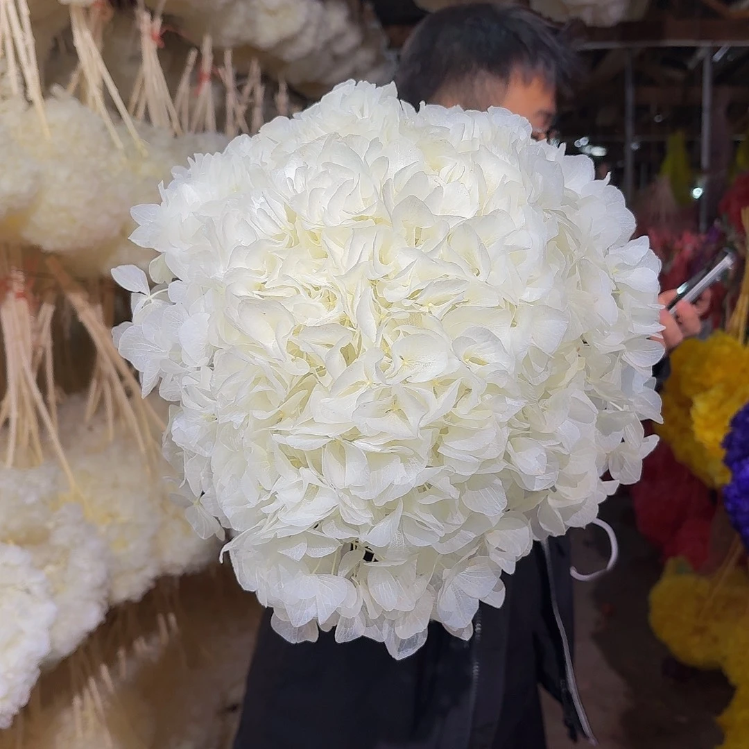 永生大叶绣球1枝 白色