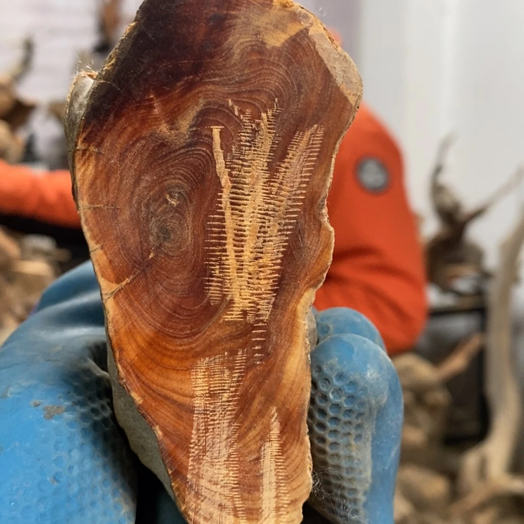 柏木?****?我们都是好孩子