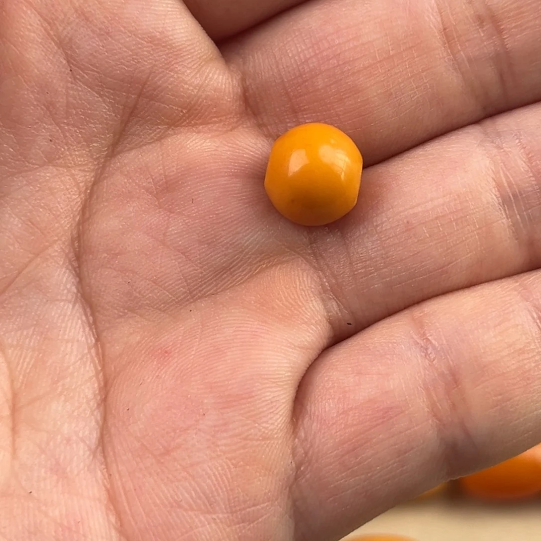 未镶嵌颈饰蜜蜡黑**剧老蜜蜡