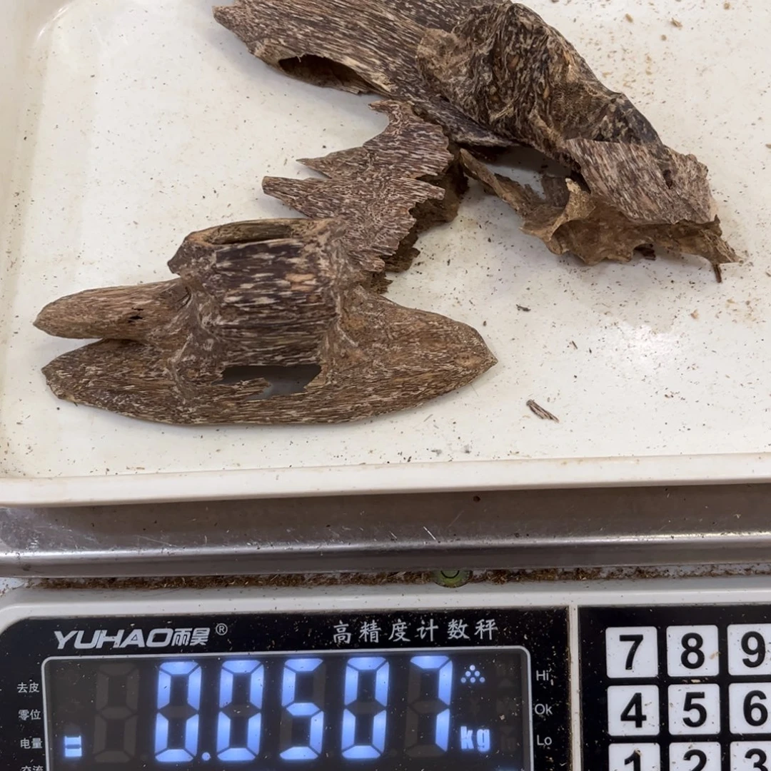 永***辉摆件沉香沉香壳子50