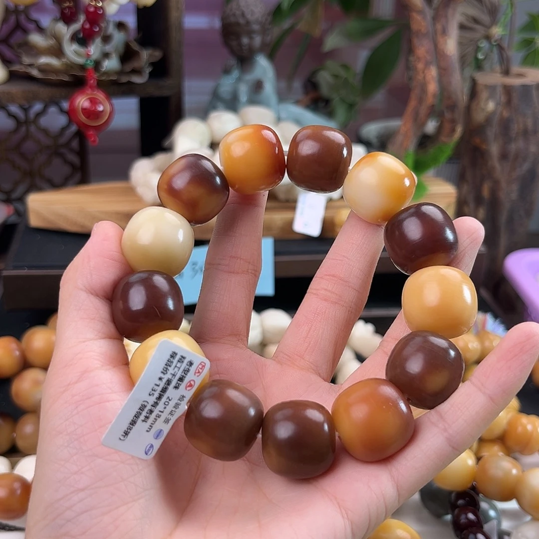 扬****吊坠菩提根/象牙果扬帆