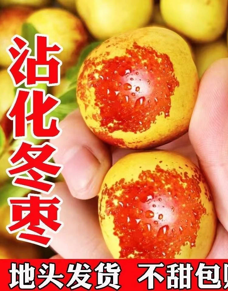 果王主播同款山东新鲜沾化冬枣脆甜