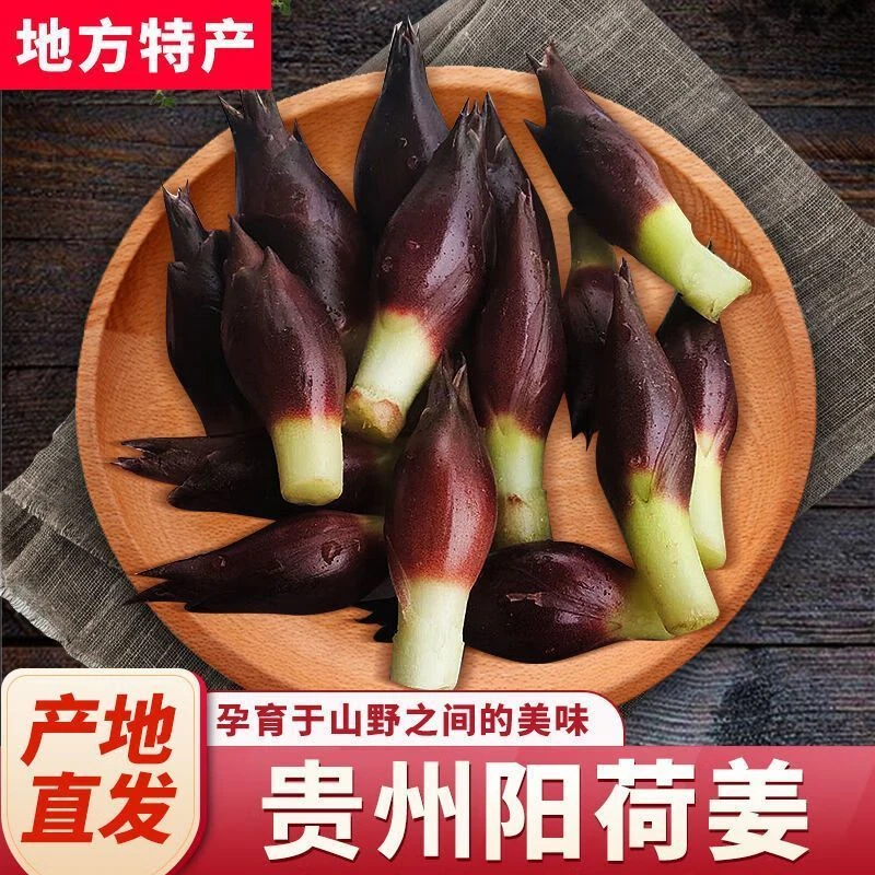 贵州新鲜现摘阳荷可腌制食用的应季蔬菜