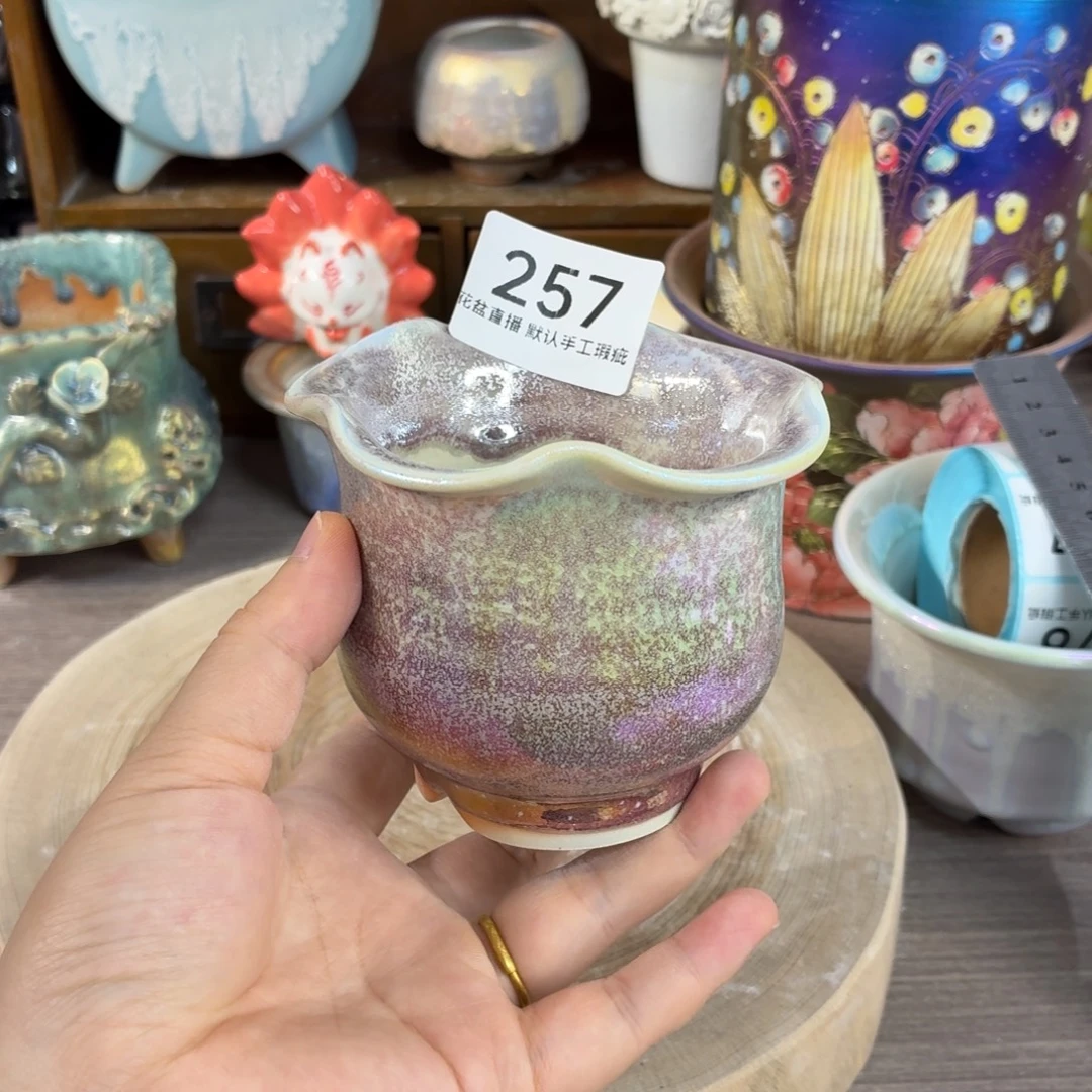 花盆花盆花盆花盆炫彩