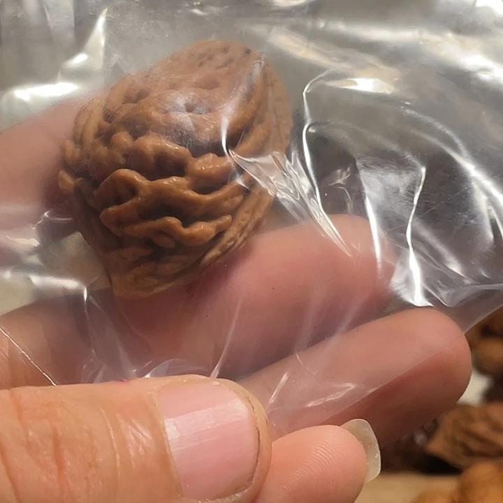 秋****碧桃核肌肉纹三通