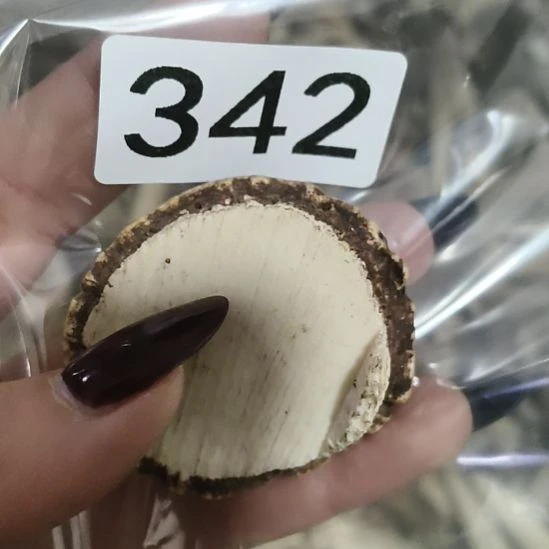 熊****鹿角鹿角鹿角鹿角鹿角鹿角鹿角鹿角鹿角