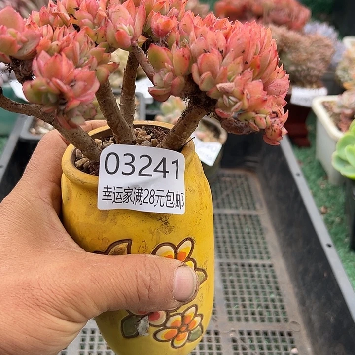 幸运的是我还没遇到