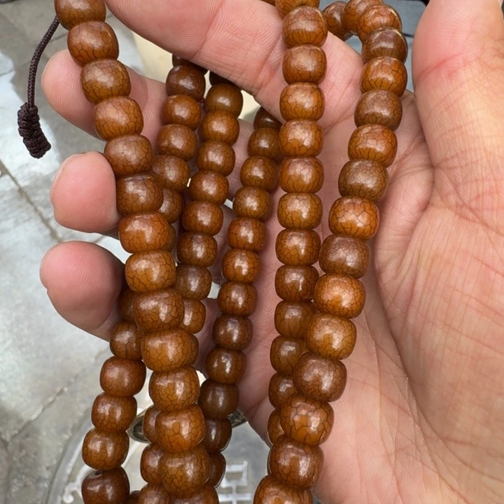 菩提根/象牙果吊坠黄*勇菩提树等树木的生长发育和