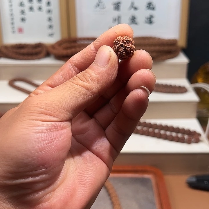 吊坠金刚菩提15尺寸原生态霸王花