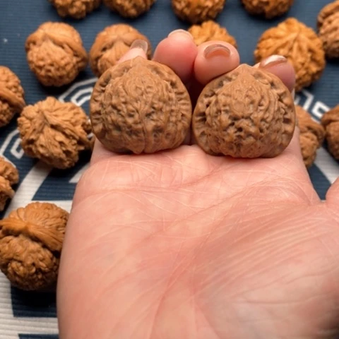 橄榄核手串/手链龙公子34全品