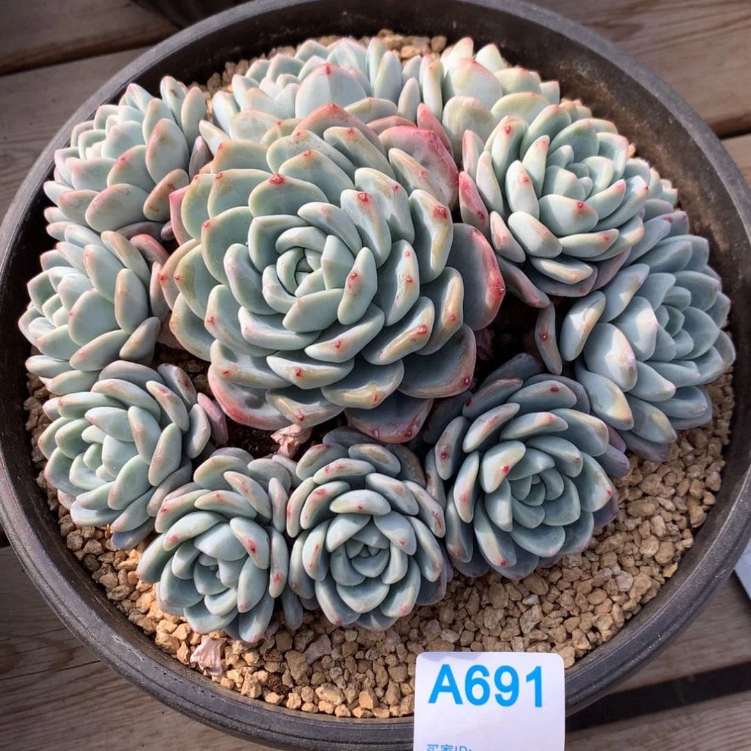 J***yA691 售后范围：签收起7天内，录开箱视频