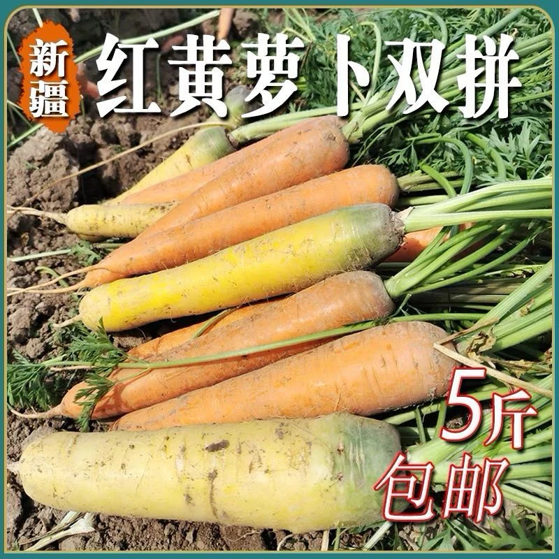 【全疆集】新疆黄萝卜胡萝卜5斤装8-12根新疆直发