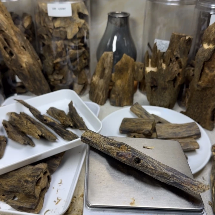 山***购沉香红骨凹身19克虫漏