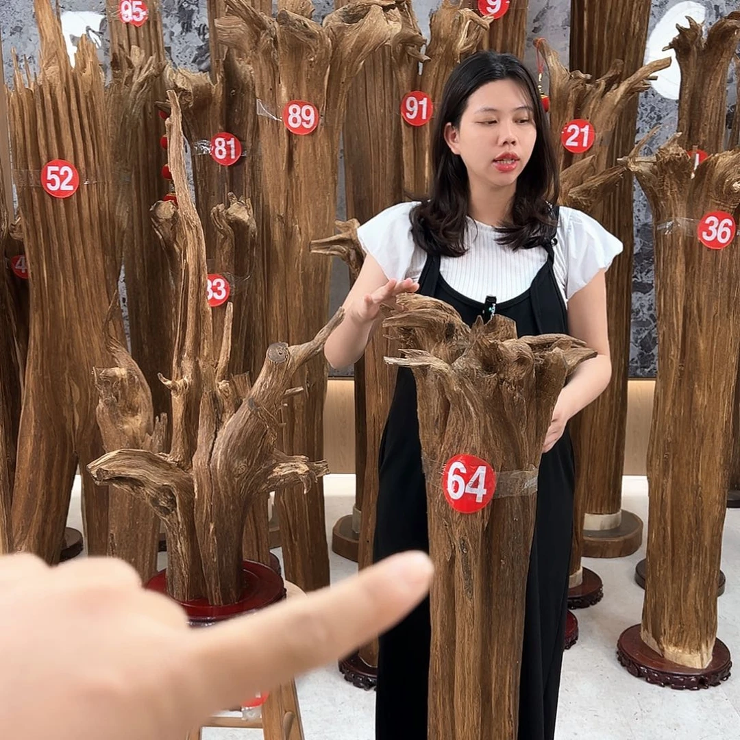 沉香沉香碎屑天然沉香