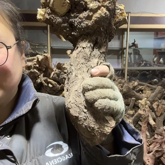 香榧木红*火琉璃的故事毛料摆件