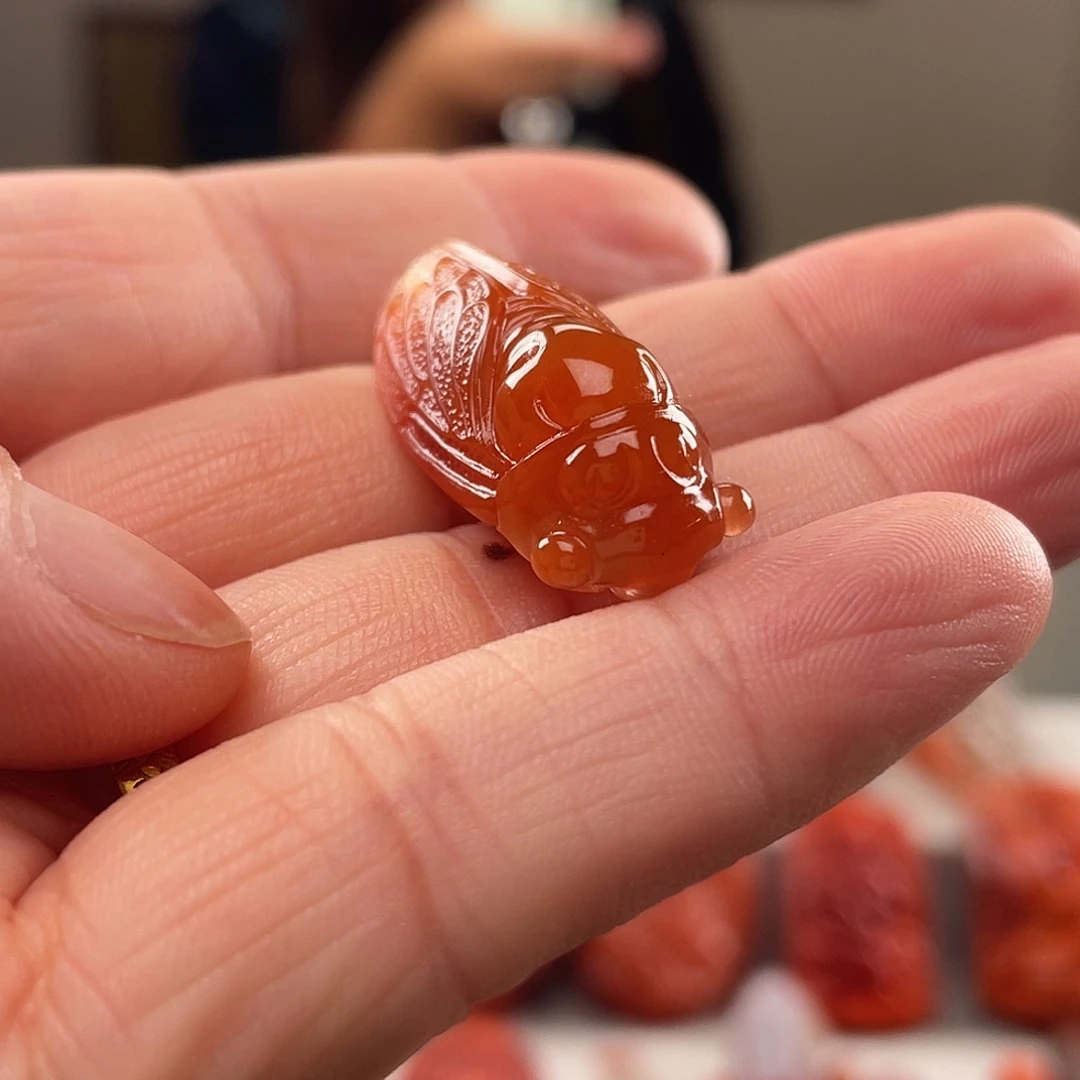 南红玛瑙未镶嵌颈饰