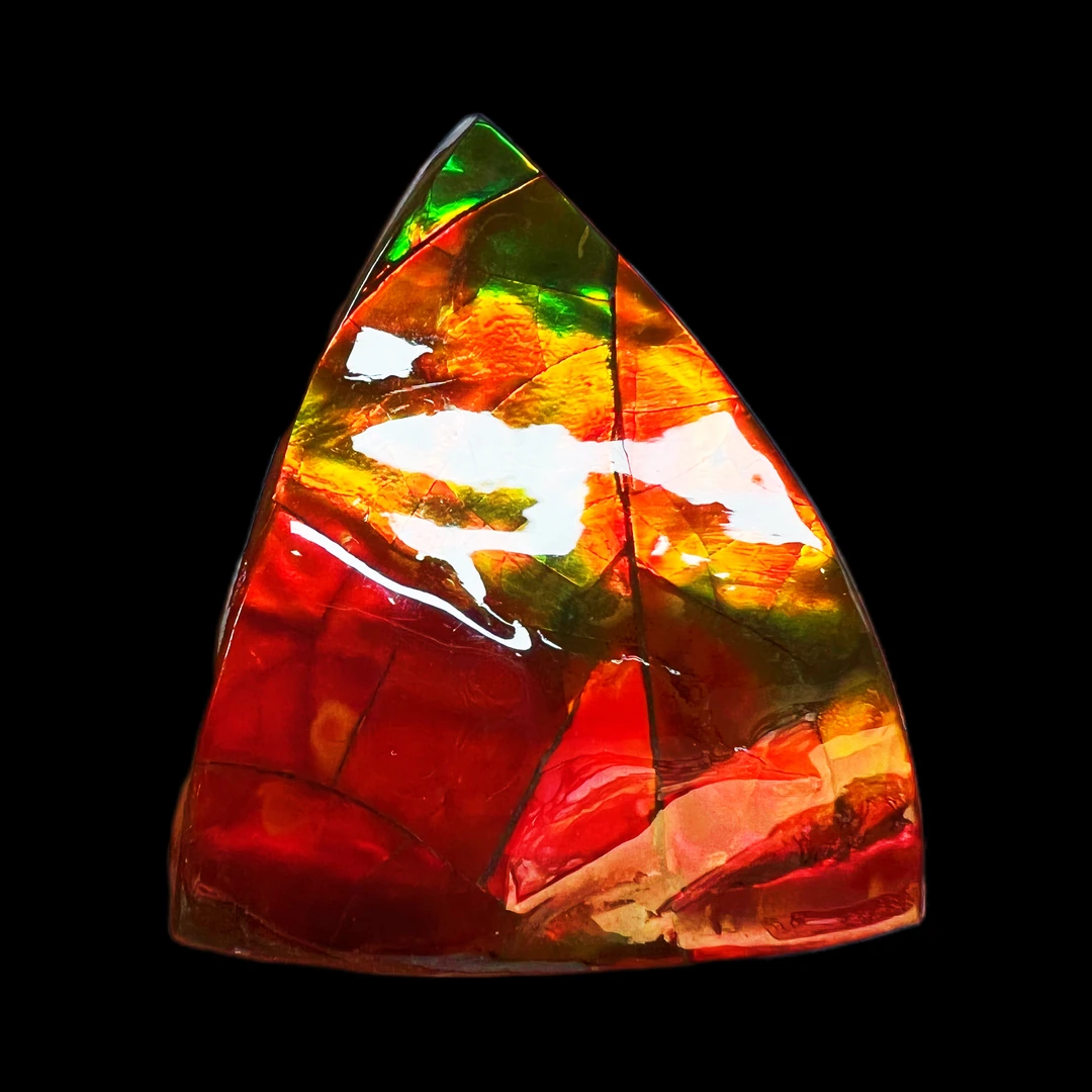 【斑彩】57.9mm 加拿大原石 N-12 YS-D 贝壳摆件 D51