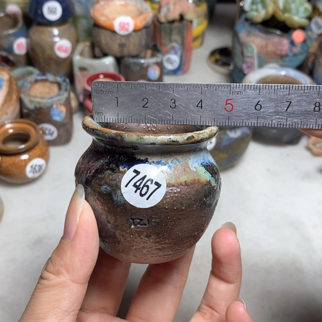 拍5送一个小礼物