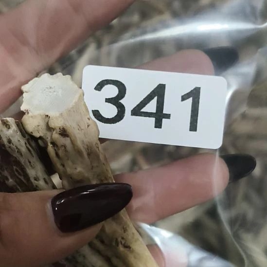 烟***冷鹿角鹿角鹿角鹿角鹿角鹿角