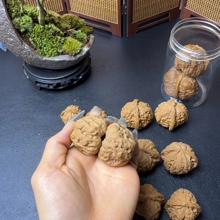 莊***龙脊菩提把件蛤蟆头修36