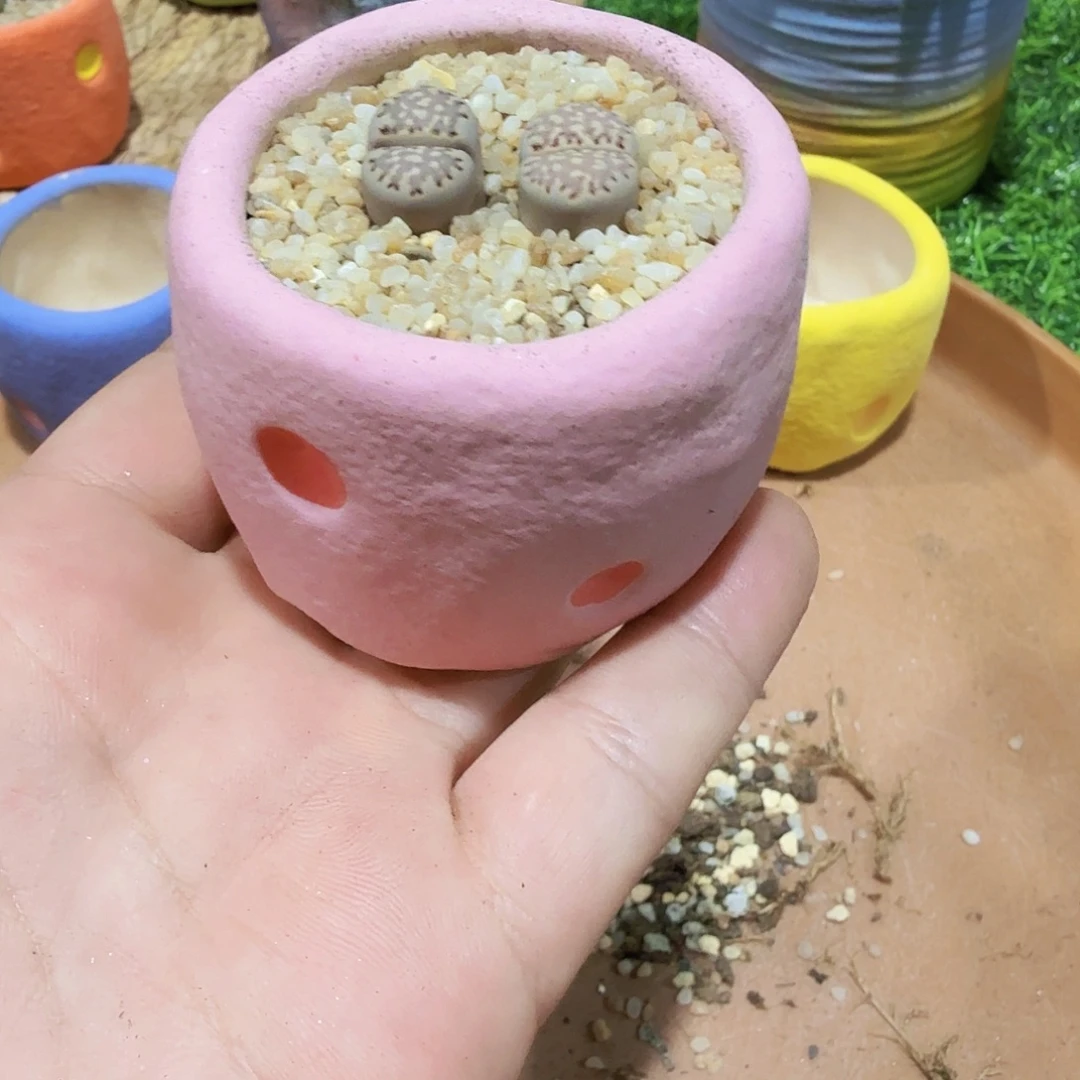 花***阳啊啊啊啊啊啊啊啊啊啊