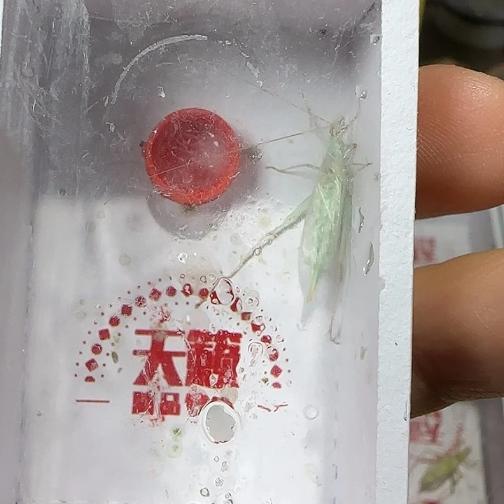 鸣虫虫具一个包邮