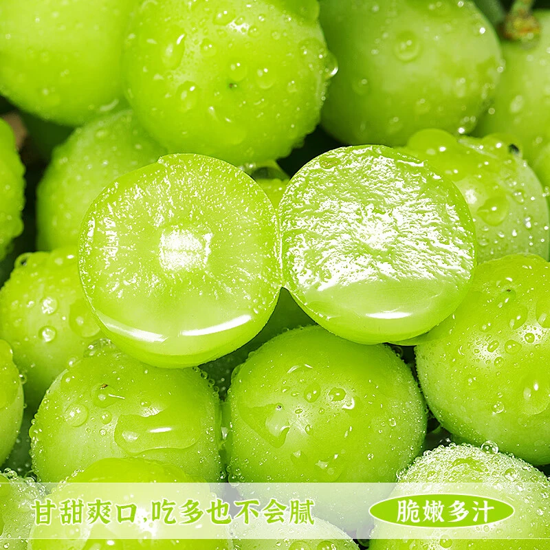 皇后脆红正宗美人指新鲜S1【新店开业】包邮特级阳光葡萄提子