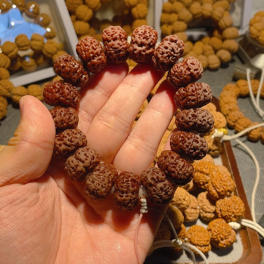 手串金刚菩提22mm夹板龙稚