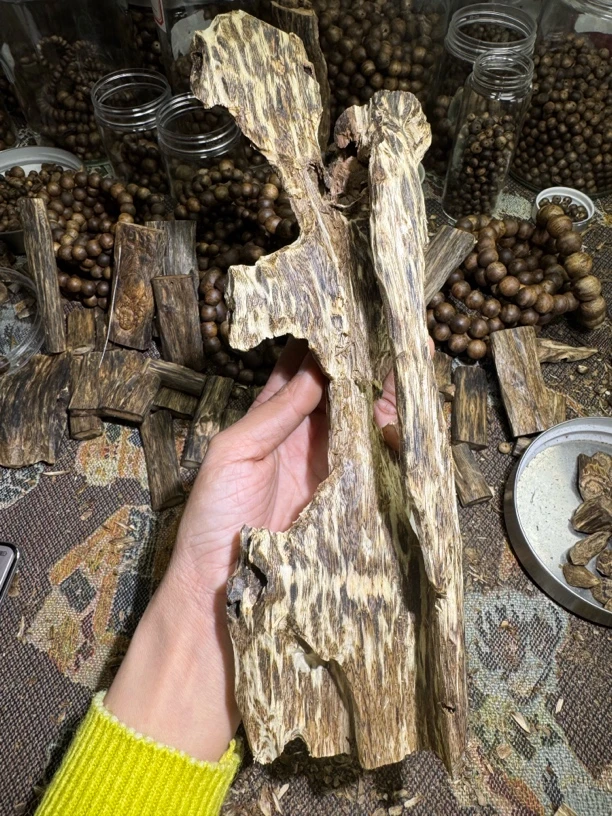 奇楠沉香莺歌绿一代树173克老料