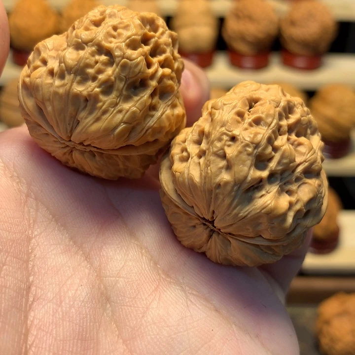 把件文玩核桃35五毒蟾