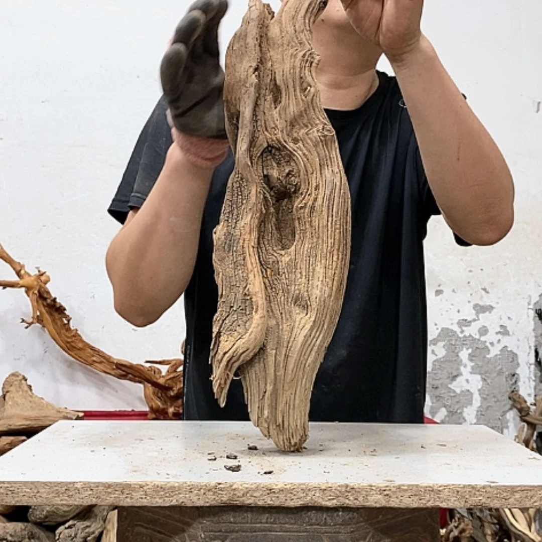 【闪购商品】柏木用****陈我们都是好孩子