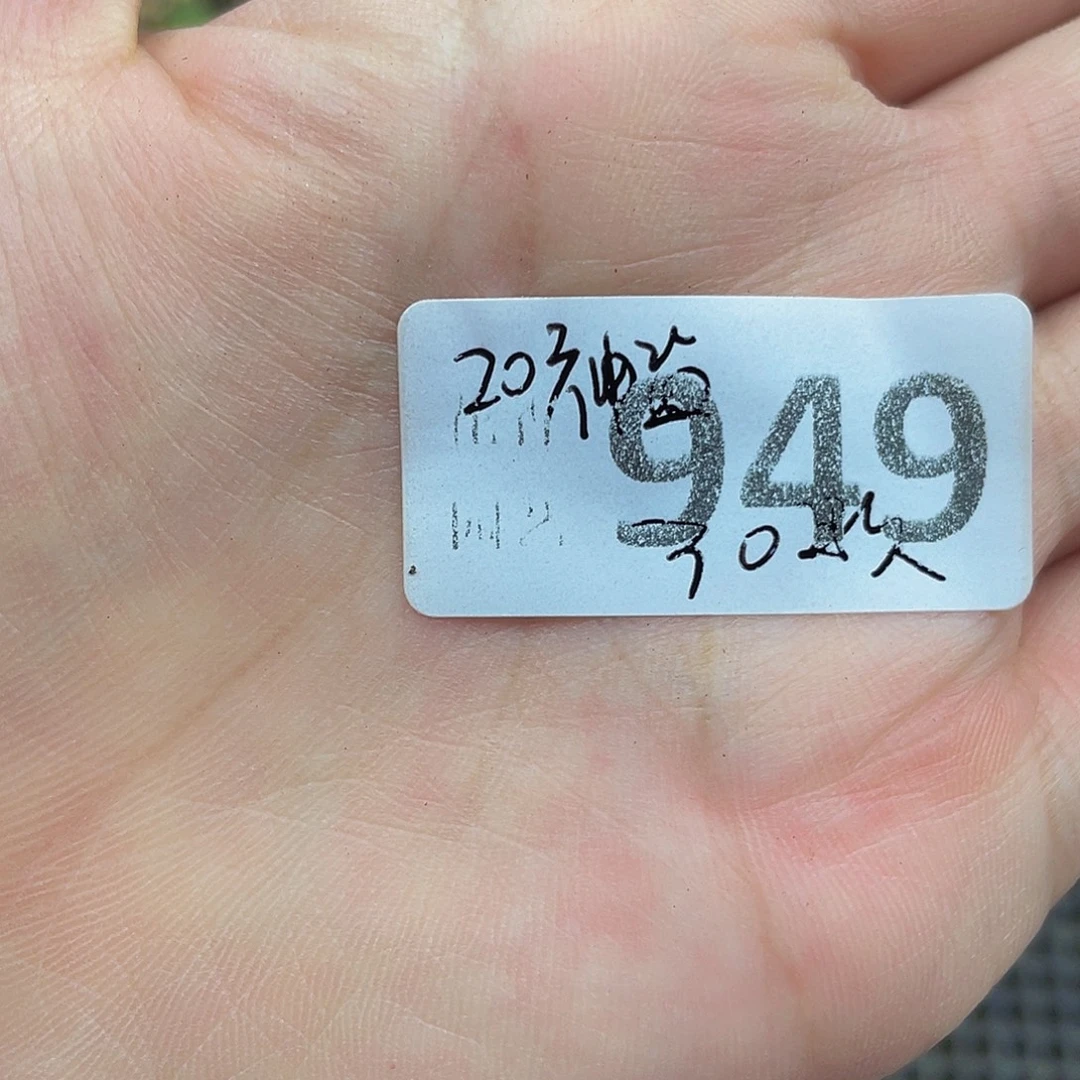 949000000花花花花花鼓励