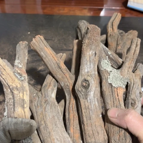 大果紫檀（缅甸花梨）小*岛