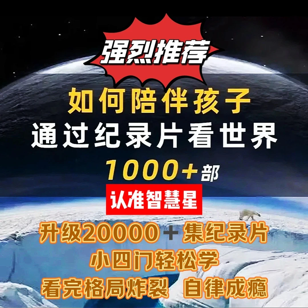 【正版福利】儿童高分小初高小四门纪录片早教逻辑训练思维教具