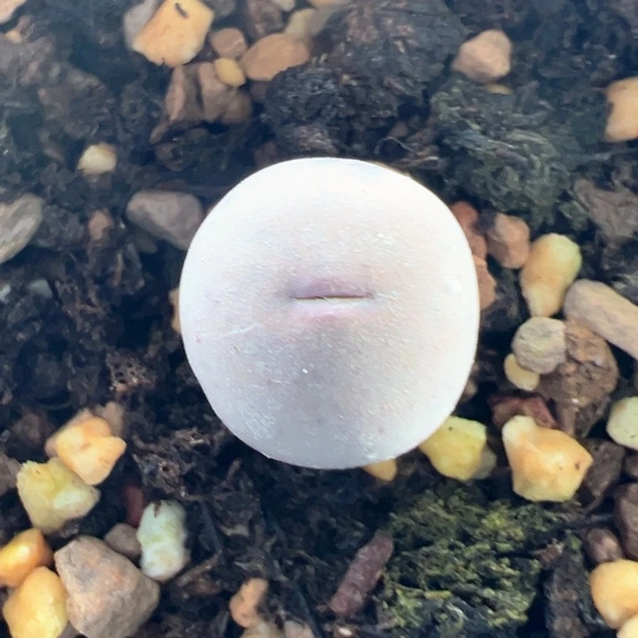 169            双节快乐