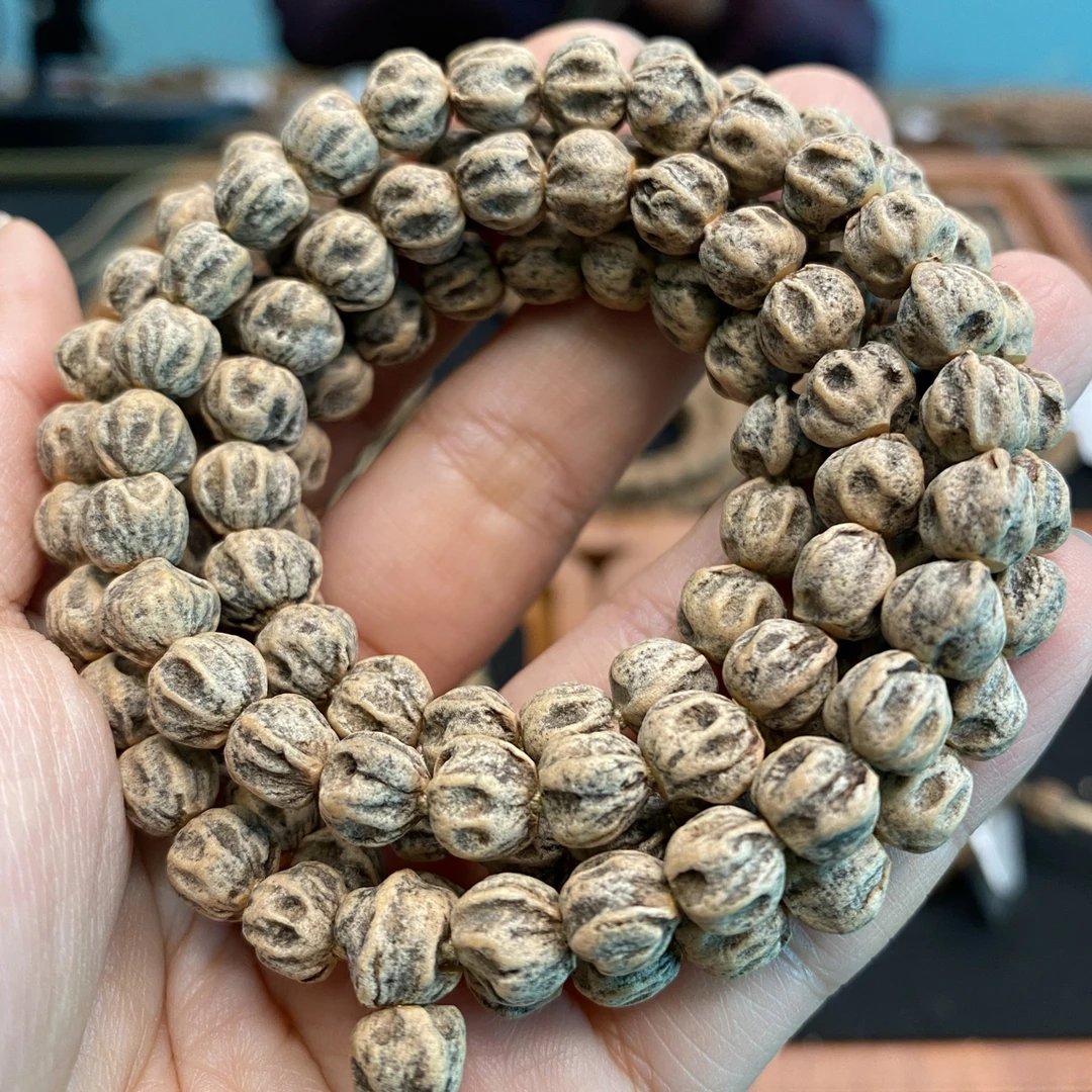 深坑鬼脸狮驼岭柏香籽