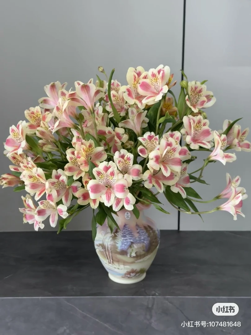 【花甜悦夏优选】猫爪六出鲜花（百分之十不售后2单冷链3单空运