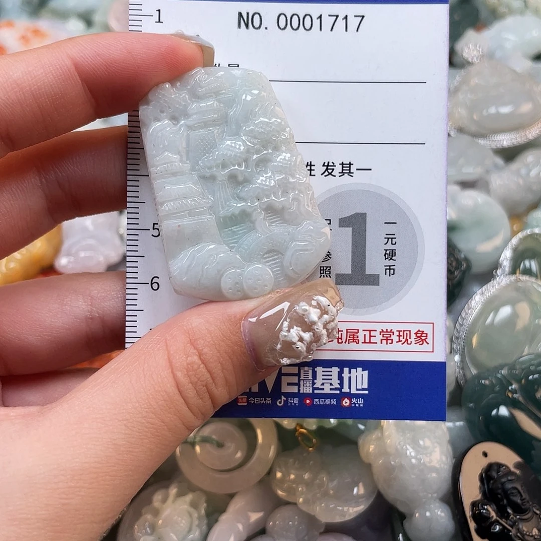 翡翠未镶嵌颈饰1717