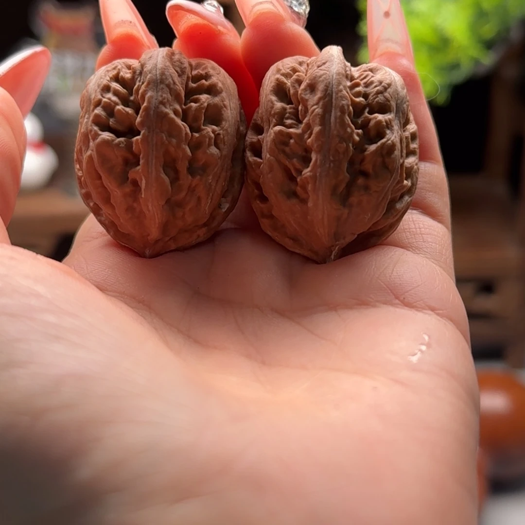 文玩核桃把件楸百核18