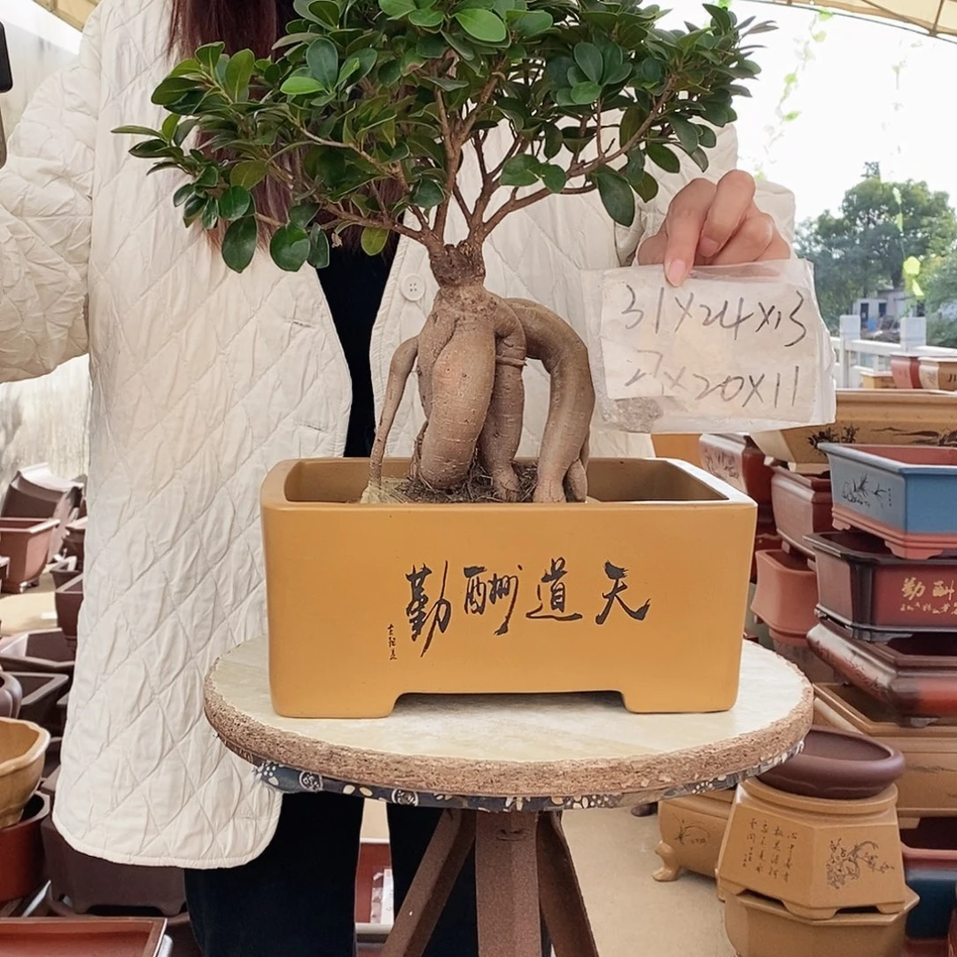 花盆紫砂紫砂花盆