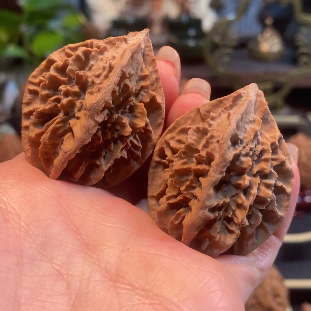 吊坠文玩核桃断齿龙骨37