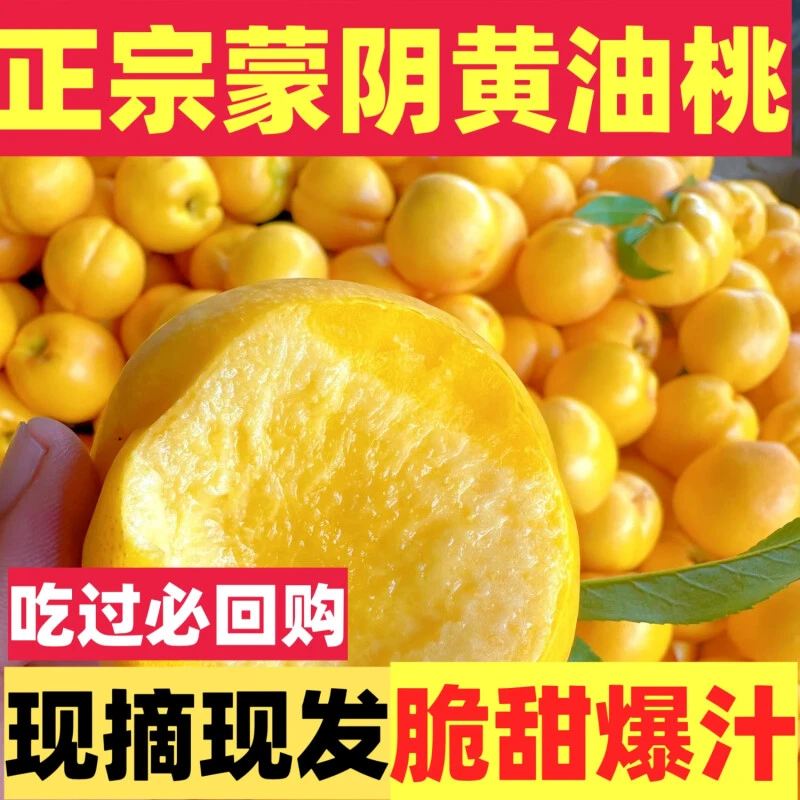 【顺丰包邮】山东蒙阴黄油桃黄金油桃新鲜水果现摘现发脆甜应季黄肉