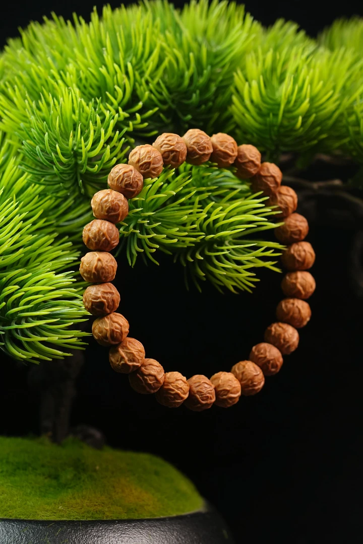 核源-毒液-肌肉猛男 怒气冲天（带备籽）10mm-11mm