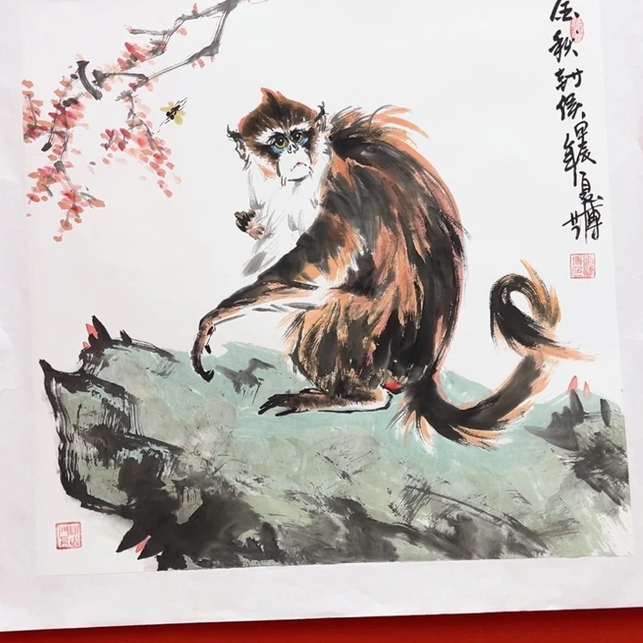 国画花鸟的翅膀和翅膀都是白色的70.70