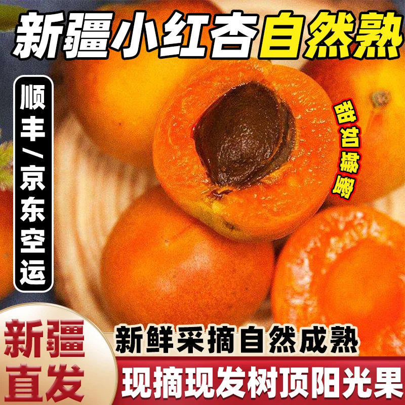 新疆阿克苏小红杏新鲜吊干杏四团现摘现发孕妇水果当季甜杏子