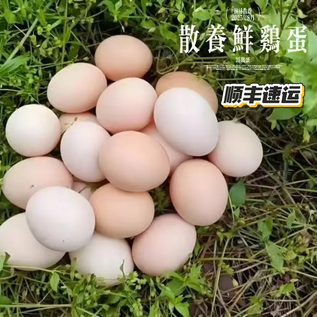 自家农场 散养土鸡蛋 初生蛋  无激素 纯粮食喂养