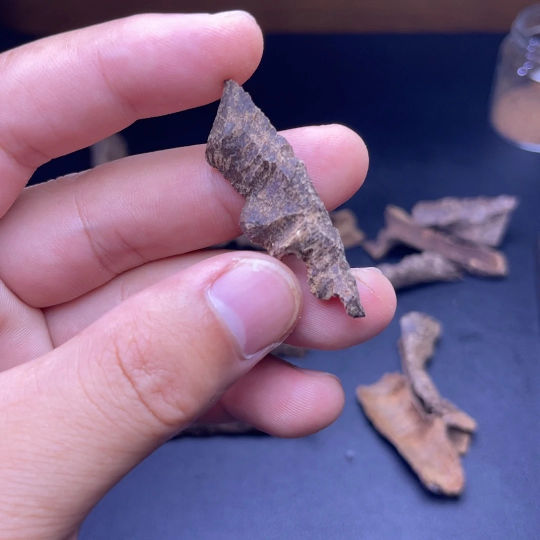 香榧木海南大山沉水鸡母虫漏1.2克