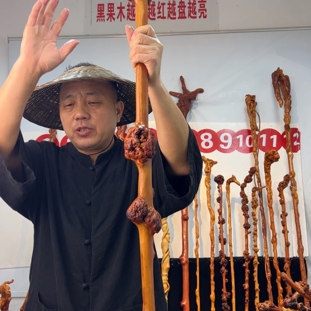 其他黑果木黑果木205