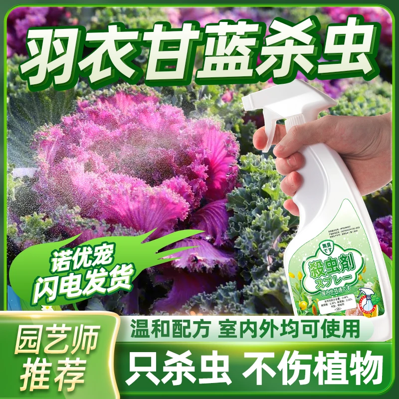 治羽衣甘蓝杀虫剂蚜虫专用药甘蓝芽虫喷雾虫卷叶虫杀蚧壳虫红蜘蛛