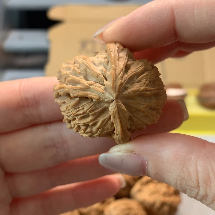 挪***林文玩核桃把件异形单只